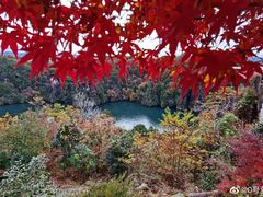 -阿马蛋汤·宁波小海鲜(总店)