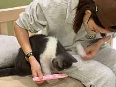 -藏猫猫咖啡主题馆(中央大道店)