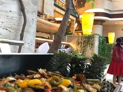 -鹤山碧桂园凤凰酒店
