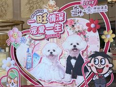 -上海神旺大酒店