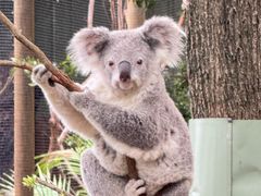 -费瑟代尔野生动物园