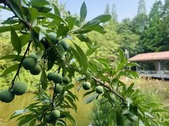 -茅庐·川粤精品私房菜(金沙遗址店)