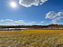 -塞罕坝国家级自然保护区