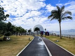 -野狸岛
