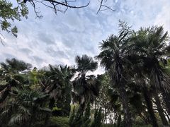 -凤城河风景区