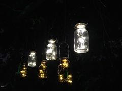 -福建鲤鱼洲酒店