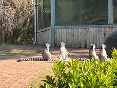 -泉州海丝野生动物世界