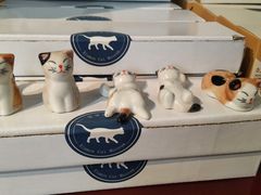 -猫咪博物馆(顶澳仔猫街店)