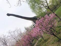 -自然谷恐龙园