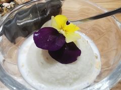 酸奶冰激凌-隐泉之语日式料理(王府中环店)