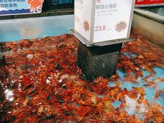 -盒马鲜生(曜一城店)