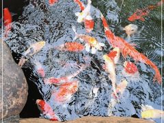 -云溪植物园