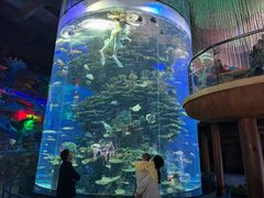 -泉城欧乐堡海洋极地世界