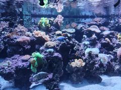 -长沙海底世界