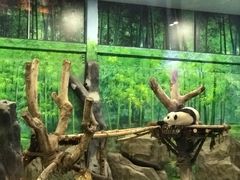 -灵玲国际马戏城