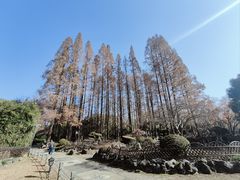 -中山公园