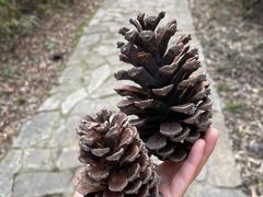 -白塘生态植物园