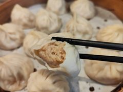 鲜肉小笼-大龙汤包