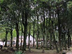-羊楼洞