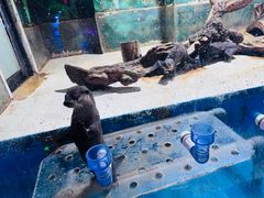 -华夏文旅海洋公园