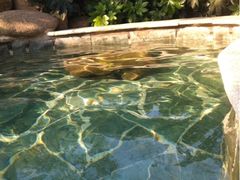 iphone_upload_pic-苏州乐园森林水世界