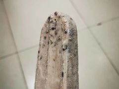 -康乐(滨江道店)