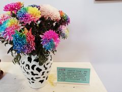 -莲湖公园