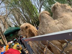 -长白岛森林公园