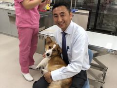 -爱妮康宠物医院·干细胞免疫细胞·肿瘤·心脏(张江店)