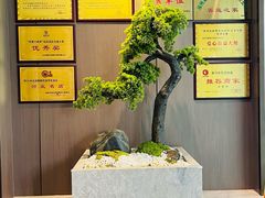 -涿掌柜·涿州宴