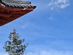 -秦岭天竺山生态文化旅游景区