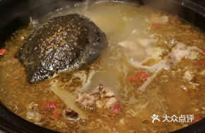 Turtle and Chicken Stew