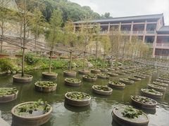 -石峰岩寺