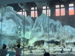 -帝企鹅自助餐厅•儿童岛•真企鹅(长隆企鹅酒店)