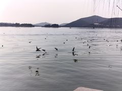 -无锡蠡湖国家湿地公园-蠡园