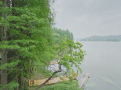 -东湖落雁景区