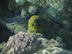 -上海海洋水族馆