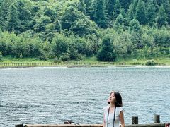 -武陵山森林公园