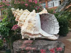 -外沙疍家棚酒楼