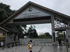 -中国大熊猫保护研究中心雅安碧峰峡基地