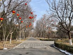 -大明幻境第一城