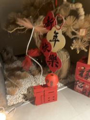 点击看大图 -iSpa