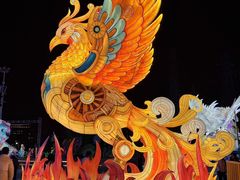 -海合安武汉极地海洋公园