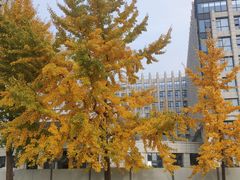 -西安外国语大学(长安校区)