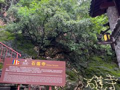 -丽江束河古镇-石莲古寺