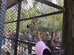 -长白岛森林公园