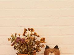 -YLK云南小粒咖啡·云里咖(二号店)