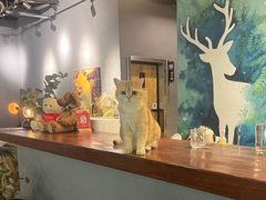 -咖法森林·咖啡  酒吧(天河店)