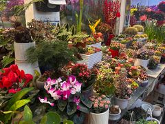 -双季花艺园艺市场(浦东店)