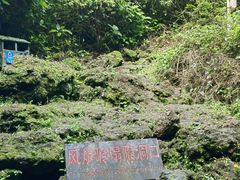 -海口火山口国家地质公园